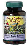 Olive Leaf Extract